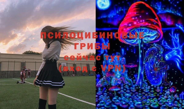 а пвп мука Мегион