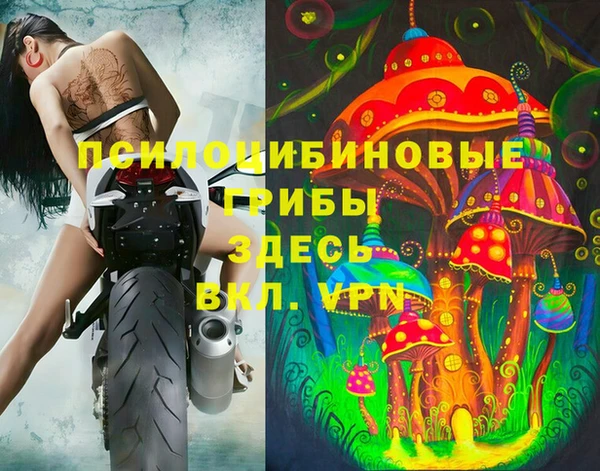 а пвп мука Мегион