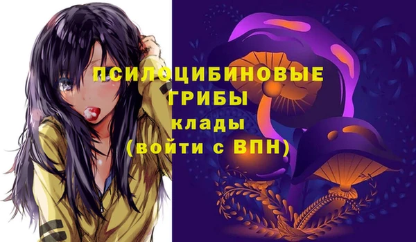а пвп мука Мегион