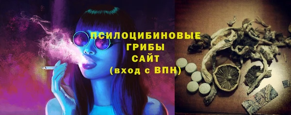 apvp Медногорск