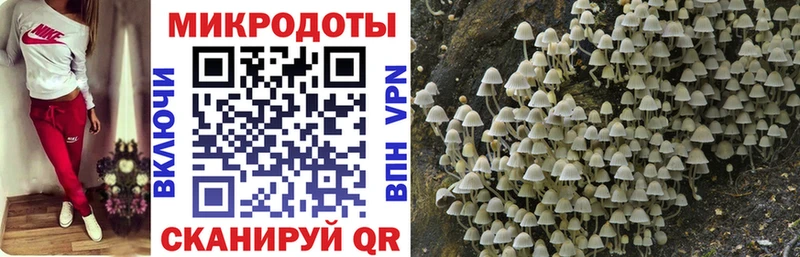 Купить закладки  Макаров  Псилоцибиновые грибы GOLDEN TEACHER 