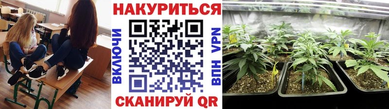 Купить  Макаров  Конопля Bruce Banner 